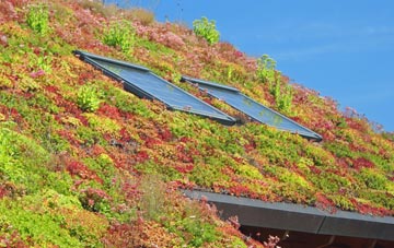Low Newton By The Sea living roof systems