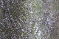 Low Newton By The Sea fibreglass roof work